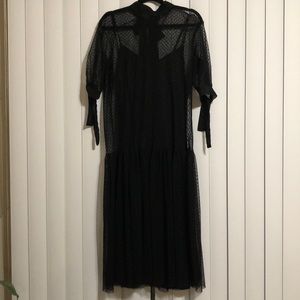 Zara Tulle Polka Dot Maxi Dress